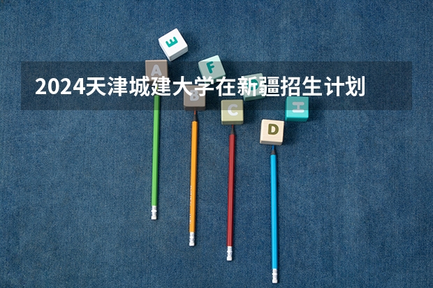 2024天津城建大学在新疆招生计划表
