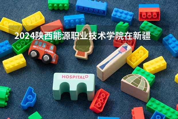 2024陕西能源职业技术学院在新疆招生计划表
