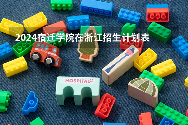2024宿迁学院在浙江招生计划表