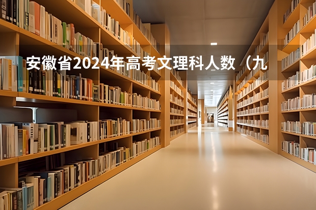 安徽省2024年高考文理科人数（九省联考第一名是谁）