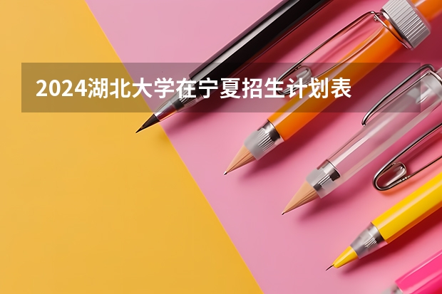 2024湖北大学在宁夏招生计划表