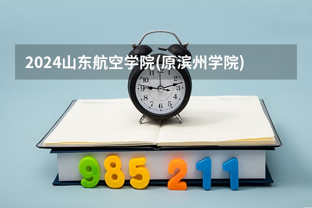 2024山东航空学院(原滨州学院)在宁夏招生计划表
