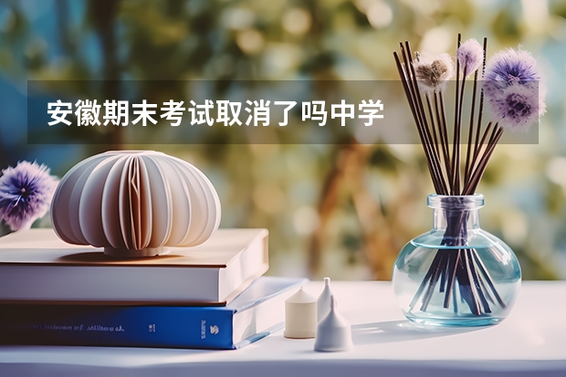 安徽期末考试取消了吗中学