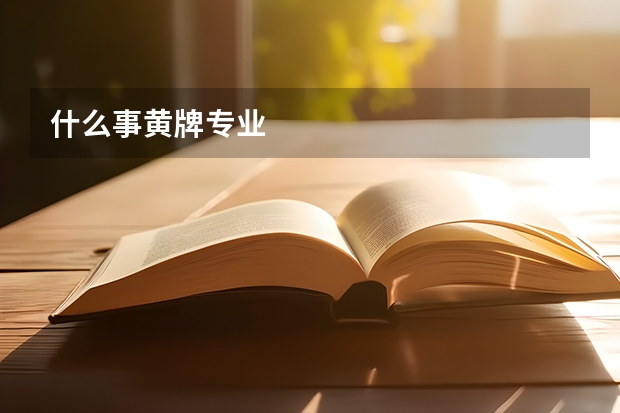什么事黄牌专业