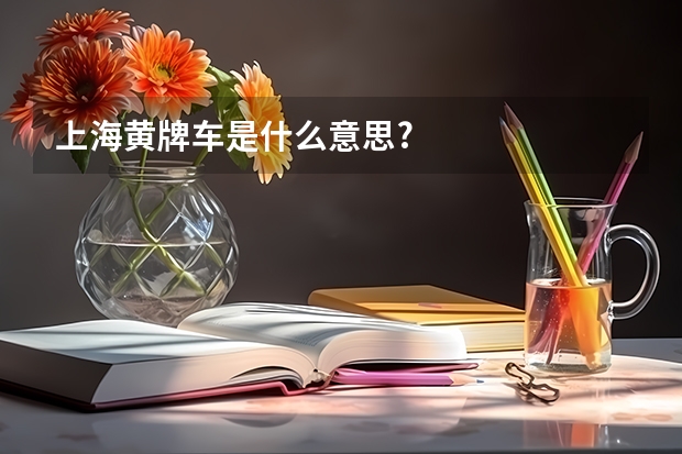 上海黄牌车是什么意思?