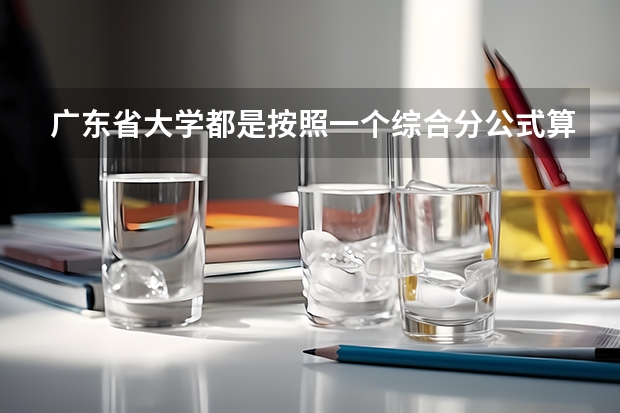 广东省大学都是按照一个综合分公式算的吗?