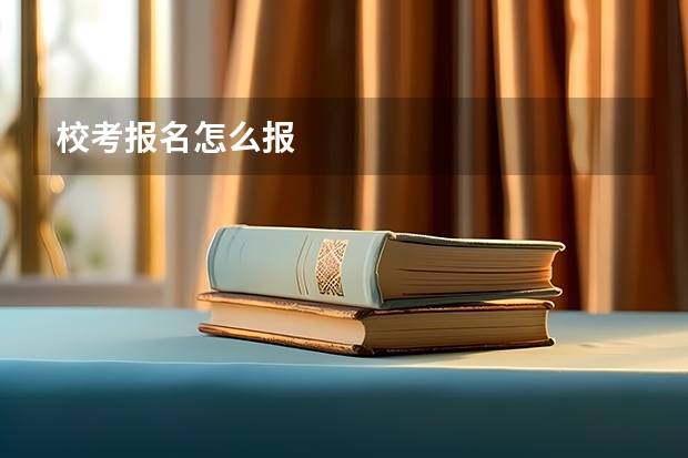 校考报名怎么报