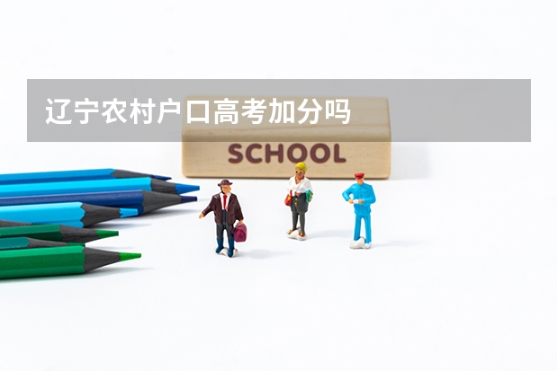 辽宁农村户口高考加分吗