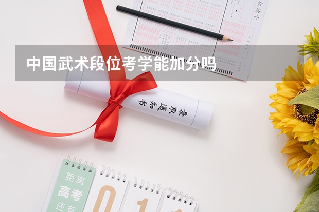 中国武术段位考学能加分吗