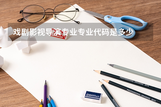戏剧影视导演专业专业代码是多少