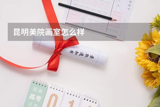 昆明美院画室怎么样