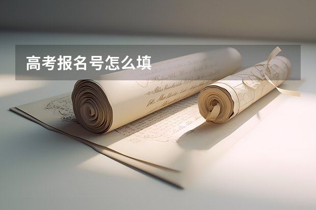 高考报名号怎么填