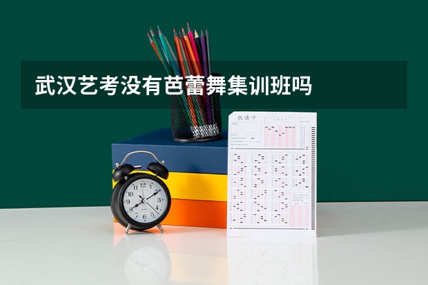 武汉艺考没有芭蕾舞集训班吗