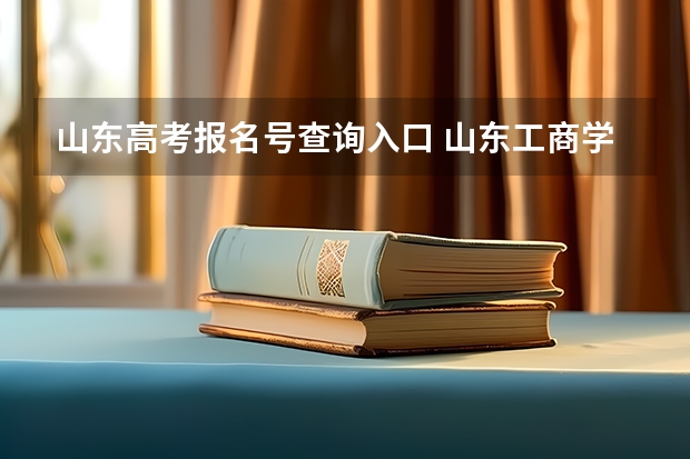 山东高考报名号查询入口 山东工商学院成人高考报名入口?