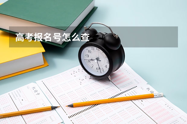 高考报名号怎么查