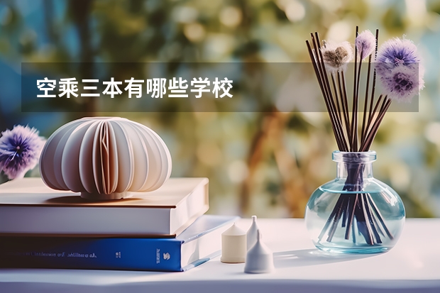 空乘三本有哪些学校