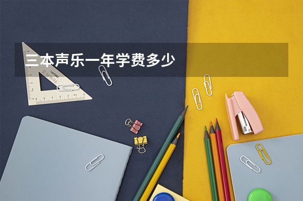 三本声乐一年学费多少