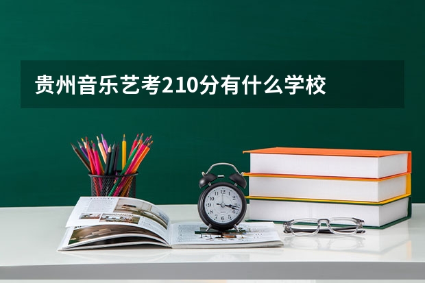 贵州音乐艺考210分有什么学校