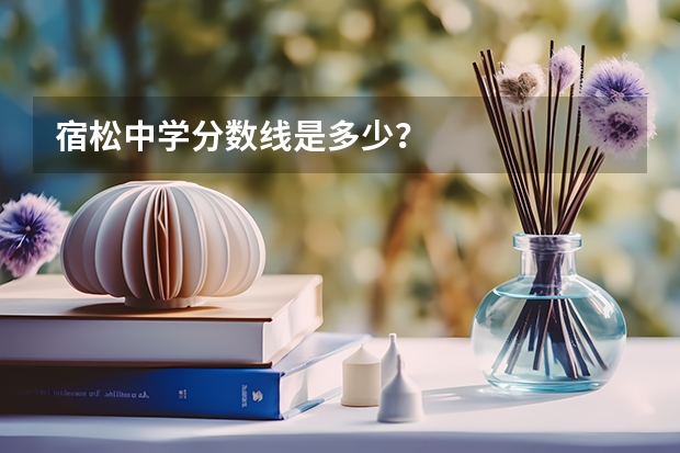 宿松中学分数线是多少?