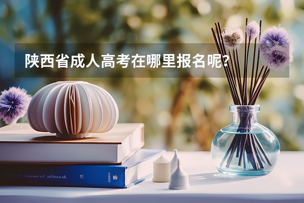 陕西省成人高考在哪里报名呢?