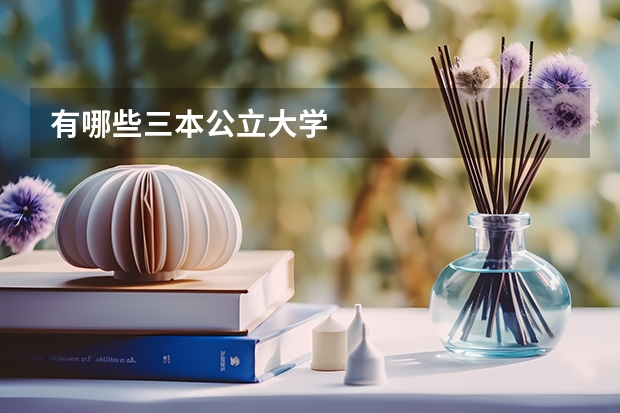 有哪些三本公立大学