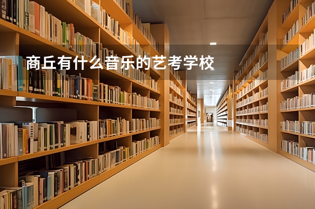 商丘有什么音乐的艺考学校