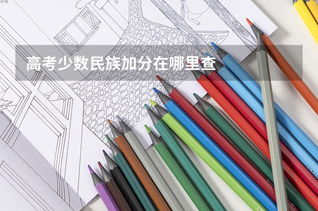 高考少数民族加分在哪里查