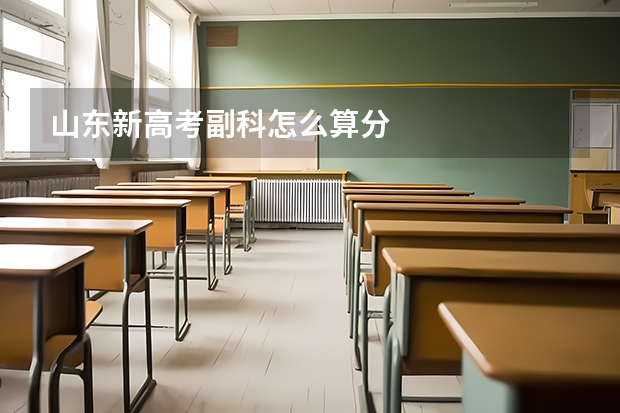 山东新高考副科怎么算分