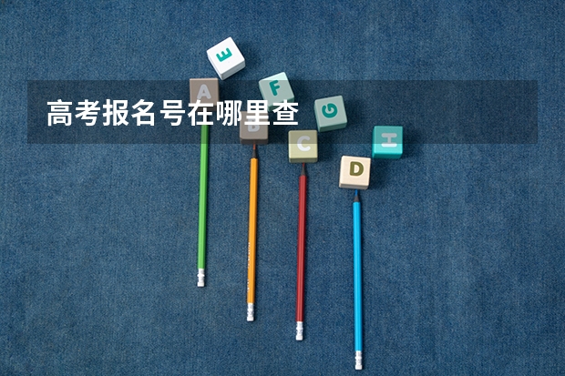 高考报名号在哪里查