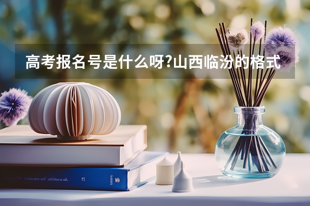高考报名号是什么呀?山西临汾的格式大概是什么?