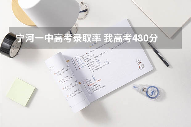 宁河一中高考录取率 我高考480分左右可以上一本了了么? 我天津市 宁河县的