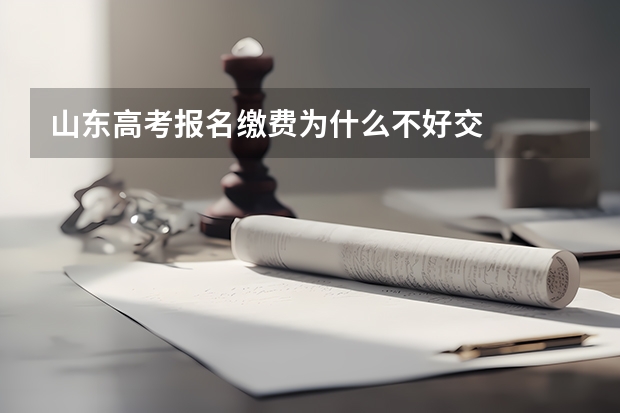山东高考报名缴费为什么不好交